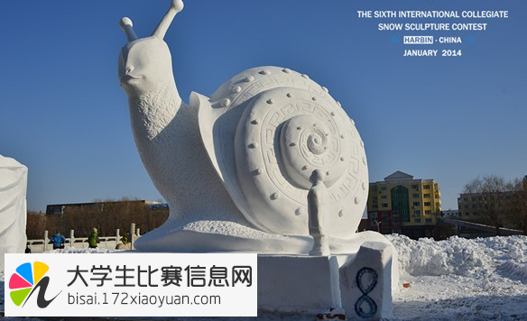 2017第九届国际大学生雪雕大赛