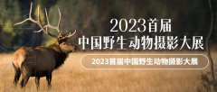 2023首届中国野生动物摄影大展