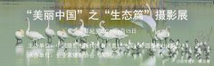 “美丽中国”之“生态篇”摄影展征稿