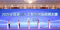 2025全国通用人工智能创新应用大赛